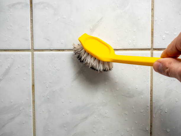 Best Affordable Mold Removal  in Eagle Lake, TX