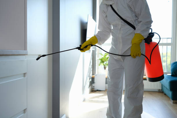 Professional Mold Removal in Eagle Lake, TX
