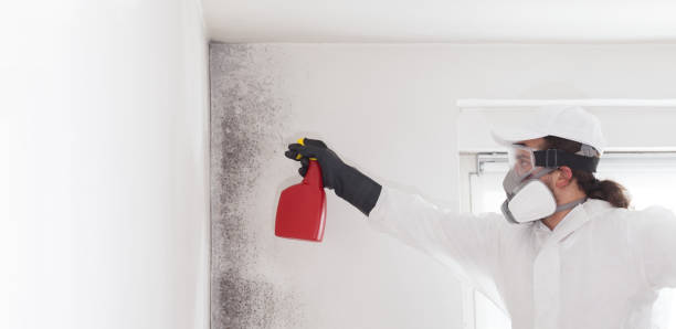 Best Residential Mold Removal  in Eagle Lake, TX