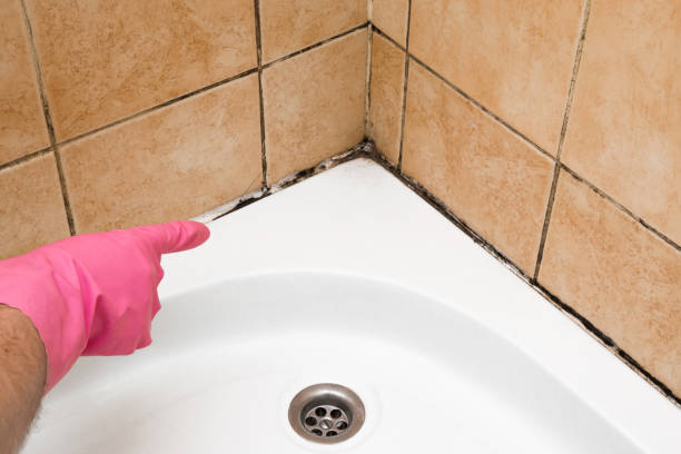 Best Commercial Mold Removal  in Eagle Lake, TX